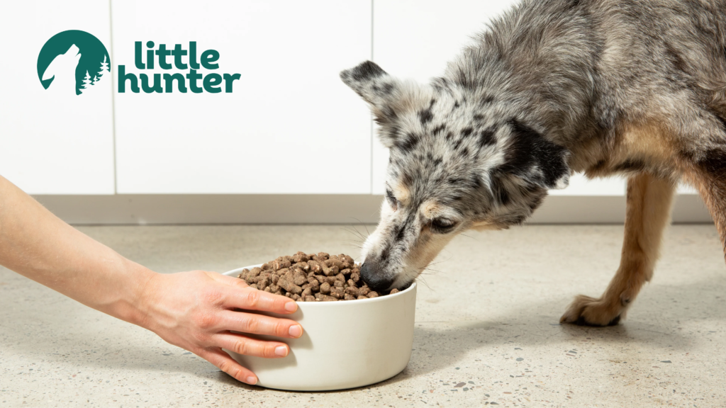 Little Hunter Dog Food A Comprehensive Review