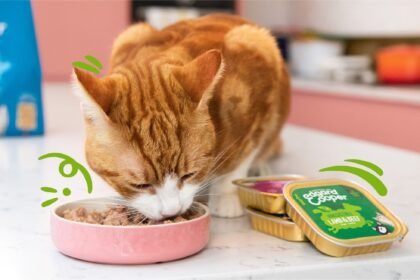 Fancy Feast cat food reviews