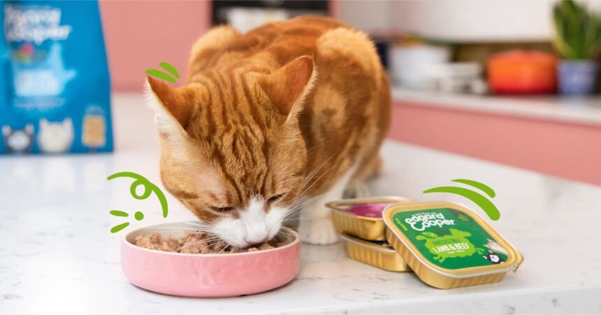 Fancy Feast cat food reviews