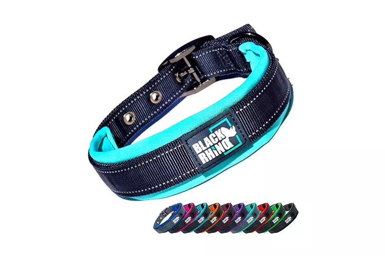 8 best custom dog collars 2024