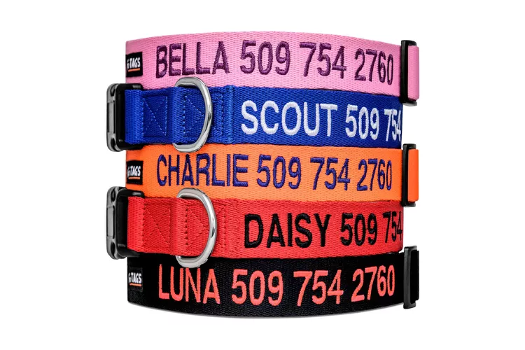 8 best custom dog collars 2024