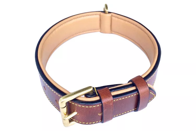 8 best custom dog collars 2024