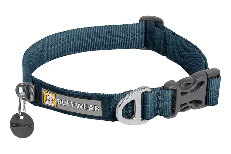 8 best custom dog collars 2024