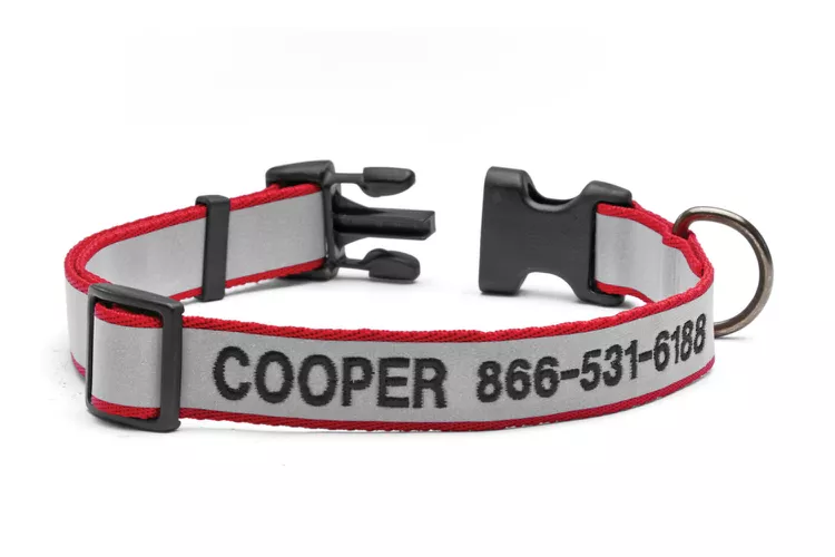 8 best custom dog collars 2024