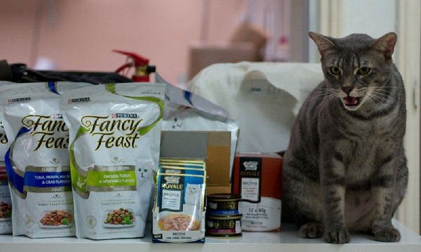 Fancy Feast cat food reviews